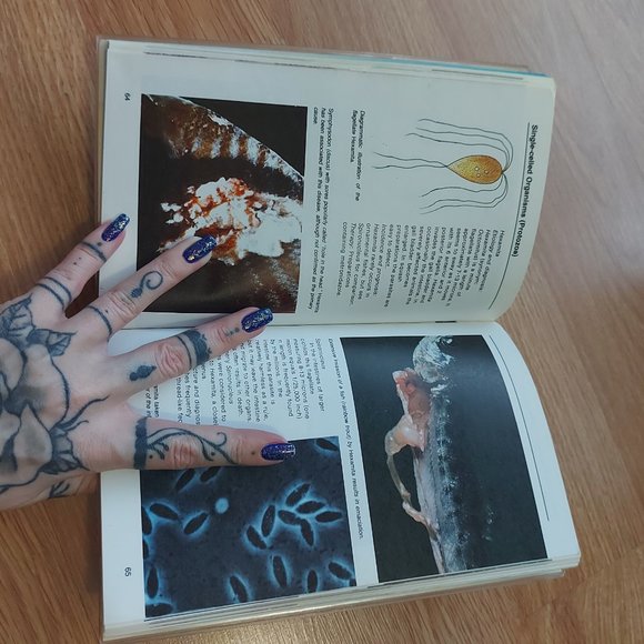 Mix & Match 3 for $10 Books! - Fish Diseases - Picture 5 of 6